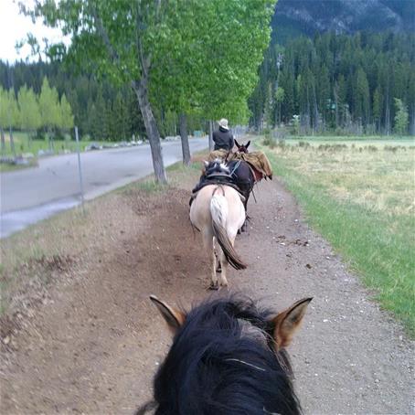 Horseback 1 Horseback 1