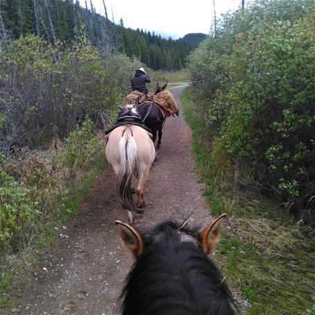 Horseback 2 Horseback 2
