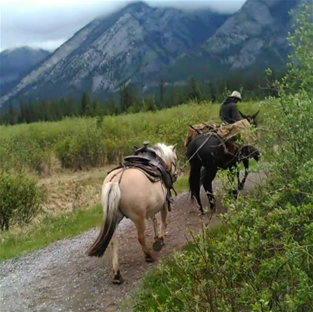 Horseback 3 Horseback 3